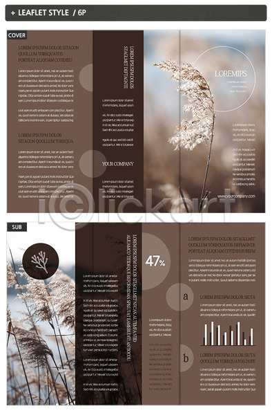사람없음 INDD ZIP 인디자인 템플릿 3단접지 갈대(식물) 갈대밭 겨울 그래프 내지 도형 리플렛 원형 팜플렛 표지 표지디자인