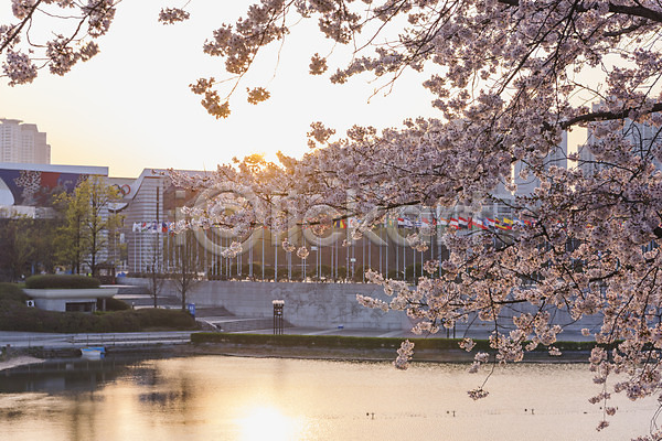 사람없음 JPG 포토 건물 노을 벚꽃 봄 야외 올림픽공원 주간 호수
