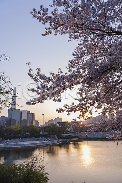 사람없음 JPG 포토 건물 노을 벚꽃 봄 빌딩 야외 올림픽공원 주간 호수