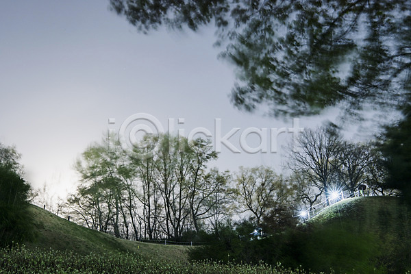 사람없음 JPG 포토 나무 봄 빛 야간 야경 야외 잔디 하늘