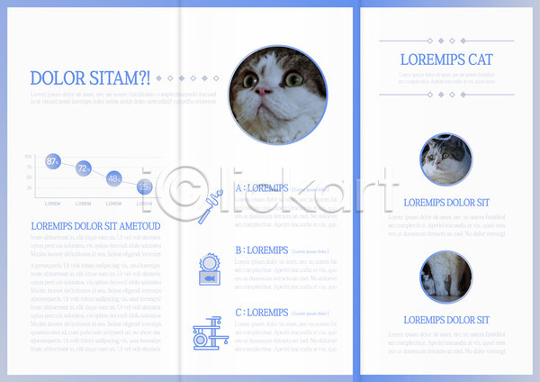 사람없음 AI(파일형식) 템플릿 3단접지 고양이 그래프 내지 다리 리플렛 반려 북디자인 북커버 세마리 출판디자인 통조림 파란색 팜플렛 표지디자인