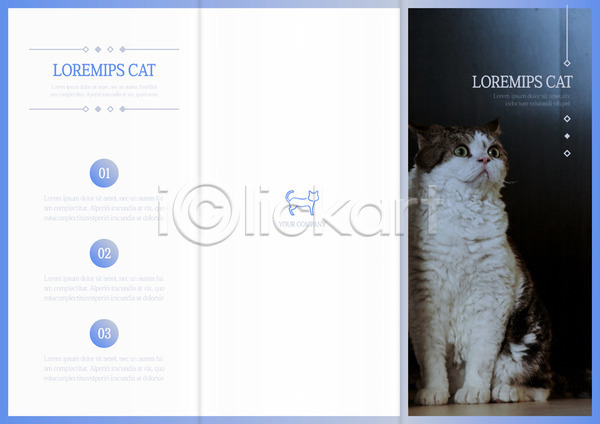 사람없음 AI(파일형식) 앞모습 템플릿 3단접지 고양이 리플렛 반려 북디자인 북커버 응시 전신 출판디자인 팜플렛 표지 표지디자인 한마리