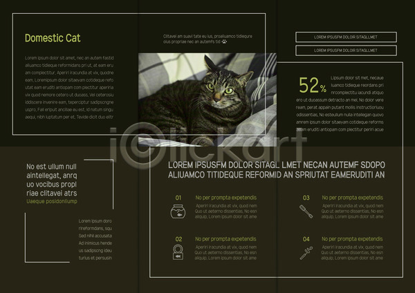 사람없음 AI(파일형식) 템플릿 3단접지 고양이 내지 리플렛 반려 북디자인 북커버 출판디자인 팜플렛 표지디자인 한마리