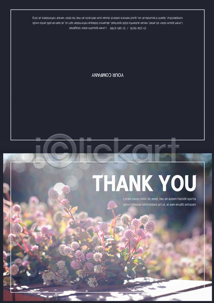 감사 사람없음 AI(파일형식) 카드템플릿 템플릿 꽃 들꽃 보케 카드(감사)