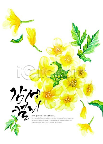 감성 사람없음 PSD 일러스트 글자캘리그라피 꽃 노란색 백그라운드 붓터치 수채화(물감) 유채 잎 캘리그라피