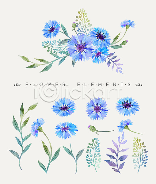 사람없음 PSD 일러스트 꽃 꽃다발 꽃잎 나뭇잎 수레국화 수채화(물감) 파란색