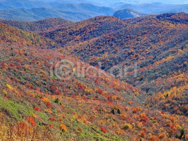 사람없음 JPG 포토 해외이미지 10월 가을(계절) 나무 노란색 산 숲 야외 오렌지 잎 자연 컬러풀 풍경(경치) 하이킹 해외202004