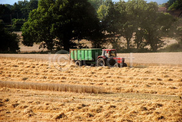 사람없음 JPG 포토 해외이미지 농경지 농업 농장 밀 밀짚 밭 밭일 빨간색 세련 수확 시골 야외 여름(계절) 잉글랜드 자연 작업 트랙터 트레일러 해외202004