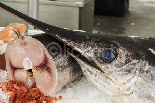 사람없음 JPG 포토 해외이미지 게임 눈(신체부위) 동물 바다 백그라운드 시장 어류 음식 이탈리아 자연 잡기 칼 큼 파란색 해외202004