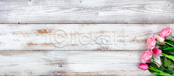 사랑 행복 사람없음 JPG 포토 해외이미지 4월 5월 계절 기념 꽃 꽃다발 꽃무늬 목재 백그라운드 봄 부활절 분홍색 시골 어머니의날 엄마 장미 장식 카피스페이스 탁자 튤립 해외202004 해외포토 휴가 흰색