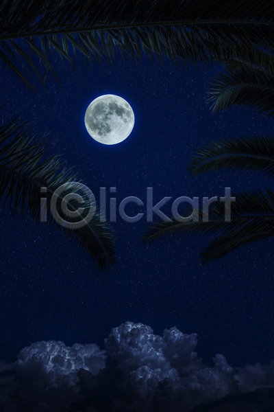 사람없음 JPG 포토 해외이미지 남색 달 보름달 야간 야외 잎 해외202004