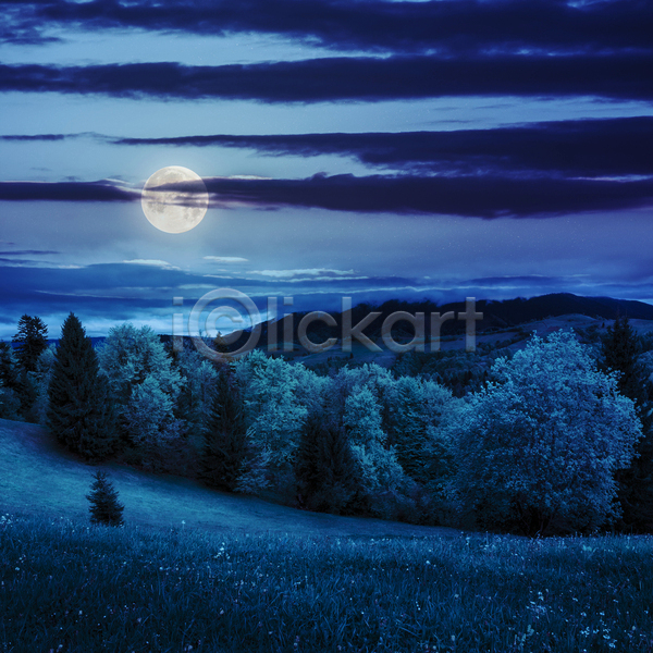 사람없음 JPG 포토 해외이미지 나무 달 보름달 야간 야외 언덕 파란색 풍경(경치) 하늘 해외202004