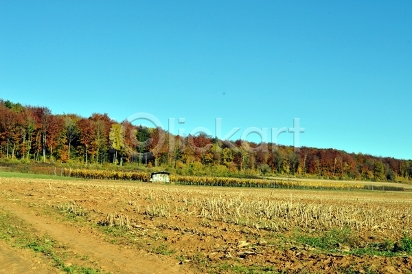 사람없음 JPG 포토 해외이미지 가을(계절) 계절 공원 나무 날씨 노란색 밭 백그라운드 빨간색 숲 야외 여름(계절) 잎 자연 초록색 캠핑 파란색 풍경(경치) 하늘 해외202004