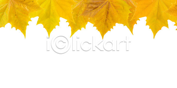 성장 신선 사람없음 JPG 포토 해외이미지 가을 갈색 계절 고립 공원 나무 나뭇가지 내추럴 노란색 단풍 묘사 백그라운드 분홍색 빛 빨간색 숲 식물 야외 오렌지 우주 잎 자연 추상 캐나다 컬러풀 패턴 해외202004 해외포토 햇빛 환경 황금 흰색