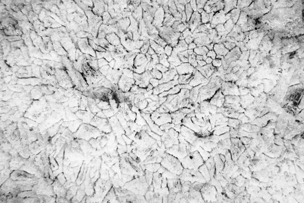 부드러움 사람없음 JPG 포토 해외이미지 겨울 균열 그래픽 내추럴 물 백그라운드 봄 북쪽 서리 얼음 자연 질감 패턴 표면 해외202004 호수 흰색