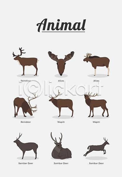 사람없음 AI(파일형식) 일러스트 동물 말코손바닥사슴 물사슴 순록 엘크 여러마리 종류 포유류