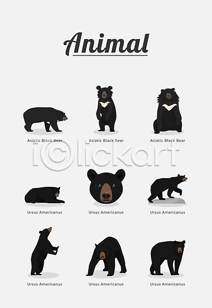사람없음 AI(파일형식) 일러스트 곰 동물 반달곰 여러마리 종류 포유류 흑곰