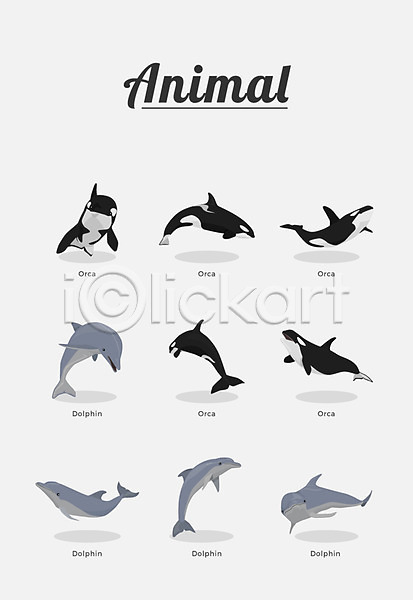 사람없음 AI(파일형식) 일러스트 돌고래 동물 범고래 여러마리 종류 포유류