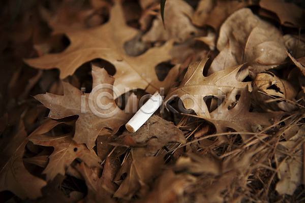 사람없음 JPG 포토 낙엽 담배 담배꽁초 버리기 불조심 야외 주간 한개