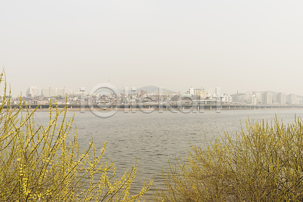 공해 대기오염 사람없음 JPG 포토 개나리 도시 먼지 미세먼지 서울 야외 오염 주간 한강 황사