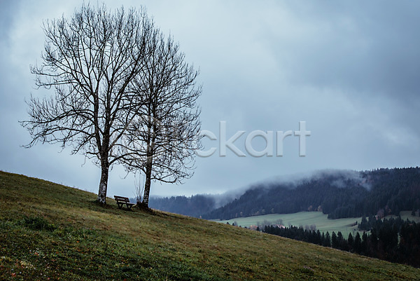 사람없음 JPG 포토 겨울 겨울풍경 나무 벤치 안개 야외 언덕 유럽 유럽풍경 자연 주간 풍경(경치) 프랑스 하늘 해외 해외풍경