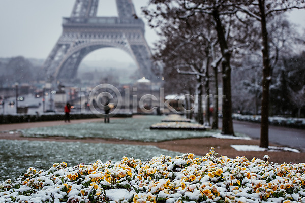 사람없음 JPG 아웃포커스 포토 건물 겨울 겨울풍경 꽃 나무 눈(날씨) 랜드마크 야외 에펠탑 유럽 유럽풍경 주간 파리(프랑스) 폭설 풍경(경치) 프랑스 해외 해외풍경
