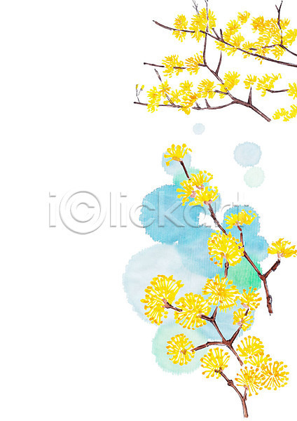 사람없음 PSD 일러스트 꽃 꽃나무 나뭇가지 노란색 번짐 식물