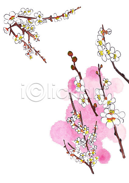 사람없음 PSD 일러스트 나뭇가지 번짐 벚꽃 벚나무 봄 식물