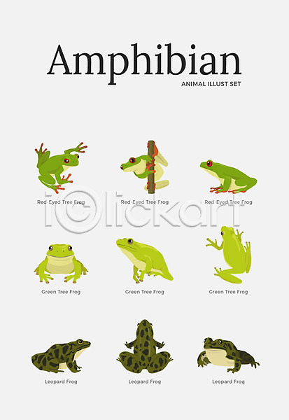 사람없음 AI(파일형식) 일러스트 개구리 다양 동물 세트 양서류 여러마리 청개구리