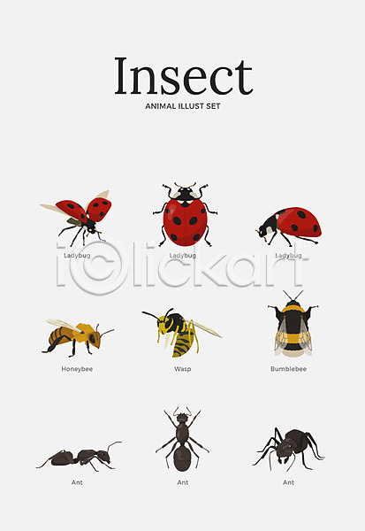 사람없음 AI(파일형식) 일러스트 개미 곤충 꿀벌 다양 동물 무당벌레 벌(곤충) 세트 여러마리