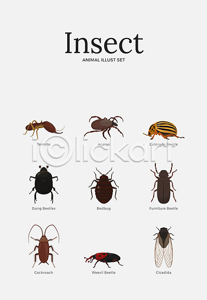 사람없음 AI(파일형식) 일러스트 개미 곤충 다양 동물 딱정벌레 매미 바퀴벌레 불개미 세트 쇠똥구리 여러마리 진드기 풍뎅이
