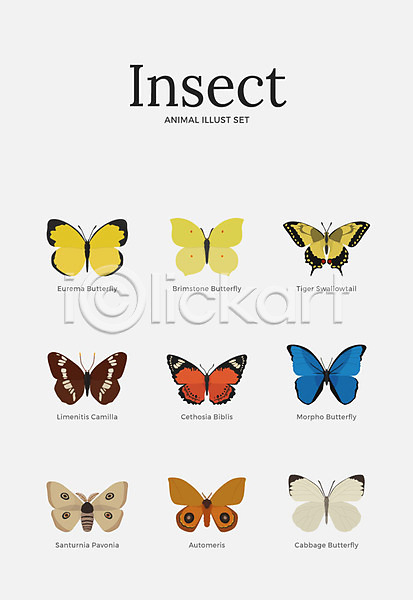 사람없음 AI(파일형식) 일러스트 곤충 극남노랑나비 나방 나비 다양 동물 세트 여러마리 호랑나비