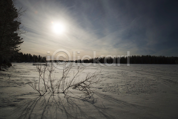 추위 사람없음 JPG 포토 해외이미지 구름(자연) 나무 냉동 북쪽 빛 숲 스웨덴 자연 태양 파란색 하늘 해외202004 호수