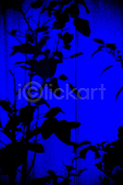 사람없음 JPG 실루엣 포토 해외이미지 검은색 그림자 꽃 내추럴 디자인 백그라운드 벽지 부분 새벽 세로 식물 심볼 야간 어둠 오렌지 일몰 잎 자연 추상 커튼 파란색 패턴 풍경(경치) 해외202004