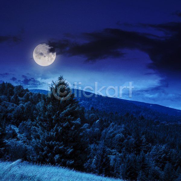 사람없음 JPG 포토 해외이미지 구름(자연) 나무 달 보름달 야간 야외 파란색 풍경(경치) 하늘 해외202004