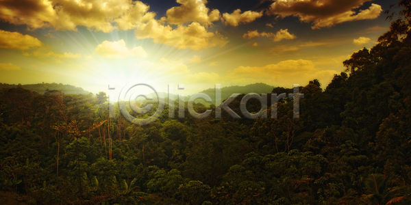 기쁨 사람없음 JPG 실루엣 포토 해외이미지 나무 손바닥 여행 윤곽 이국적 일몰 저녁 천국 태양 파라다이스 하늘 해외202004 해외포토 황혼 휴가 흐림