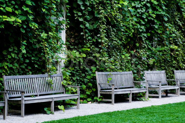 산책 신선 사람없음 JPG 포토 해외이미지 가을(계절) 건강 공원 길 목재 벤치 앉기 여름(계절) 유럽 초록색 해외202004