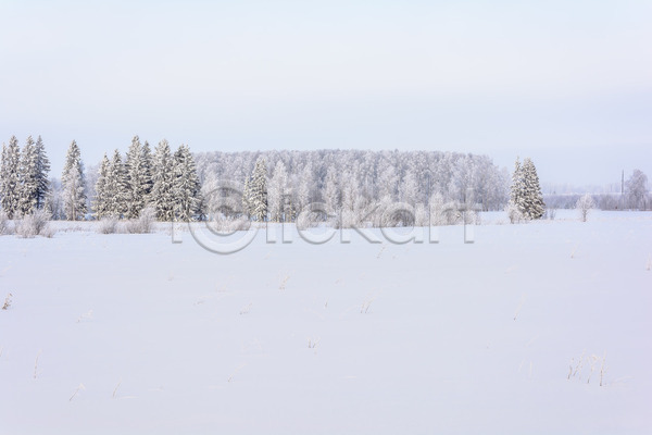 사람없음 JPG 포토 해외이미지 겨울 겨울풍경 나무 설원 야외 자연 주간 하늘 해외202004