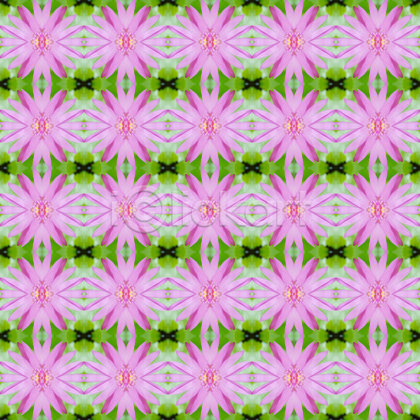 사람없음 JPG 포토 해외이미지 꽃 꽃가루 노란색 물 백그라운드 백합(꽃) 벚꽃 벽지 분홍색 식물 연꽃(꽃) 자연 장식 초록색 추상 컬러풀 패턴 해외202004