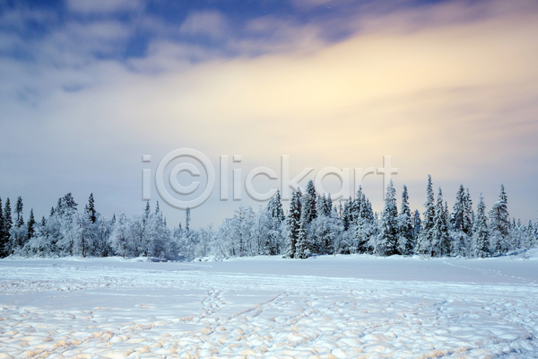 사람없음 JPG 포토 해외이미지 겨울 겨울풍경 구름(자연) 나무 설원 스웨덴 야외 자연 주간 하늘 해외202004