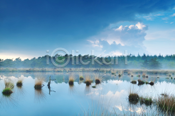고요 침묵 사람없음 JPG 포토 해외이미지 날씨 네덜란드 물 반사 변소 숲 시골 안개 야외 연못 자연 침엽수 파란색 표면 풍경(경치) 하늘 해외202004 호수