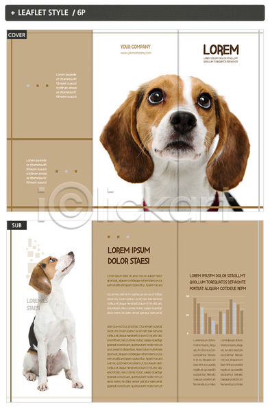 사람없음 INDD ZIP 인디자인 템플릿 3단접지 강아지 그래프 내지 동물 두마리 리플렛 반려 반려동물 비글 응시 팜플렛 표지 표지디자인