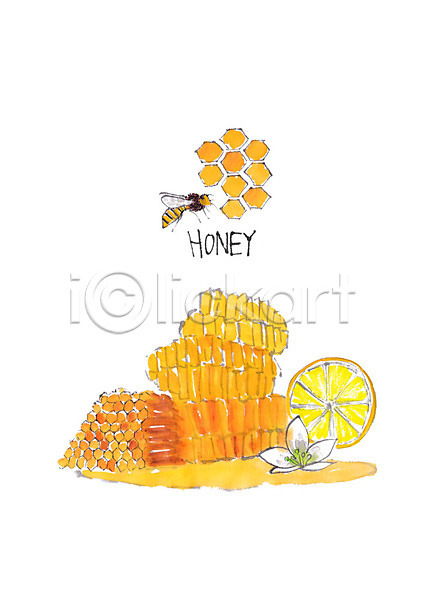 사람없음 PSD 일러스트 건강식품 꽃 꿀 꿀벌 레몬 벌집 붓터치 캘리그라피 한마리