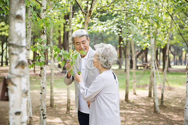 60대 70대 남자 노년 노인만 두명 사람 여자 한국인 JPG 앞모습 옆모습 포토 나무 나뭇가지 남이섬 노부부 미소(표정) 상반신 숲 숲길 실버라이프 야외 응시 잡기 주간