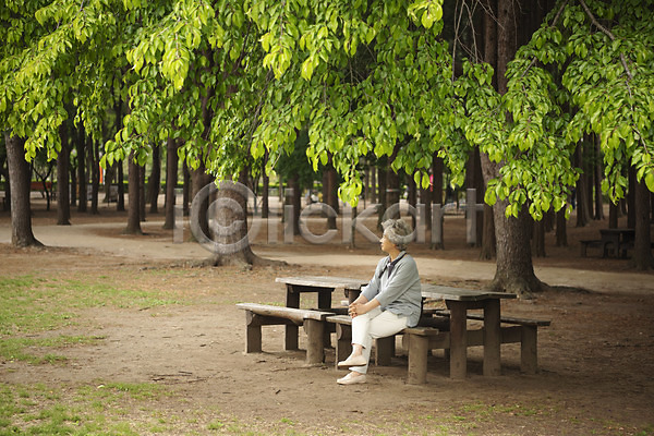 휴식 60대 노년 노인여자한명만 사람 여자 한국인 한명 JPG 옆모습 포토 나무 남이섬 벤치 숲 앉기 야외 응시 전신 주간 할머니