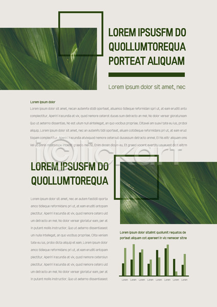 사람없음 AI(파일형식) 문서템플릿 템플릿 그래프 나뭇잎 내지 레이아웃 문서 사각형 서식 열대잎 제안서 프레젠테이션