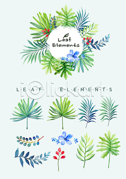 사람없음 PSD 일러스트 꽃 꽃백그라운드 나뭇잎 다양 수채화(물감) 식물 엘리먼트 여름꽃 열매 종류 파란색 풀잎