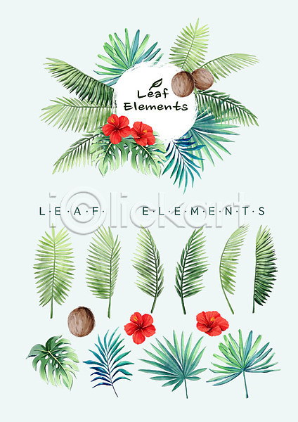 사람없음 PSD 일러스트 꽃백그라운드 나뭇잎 다양 수채화(물감) 엘리먼트 여름꽃 열대꽃 열대잎 종류 코코넛