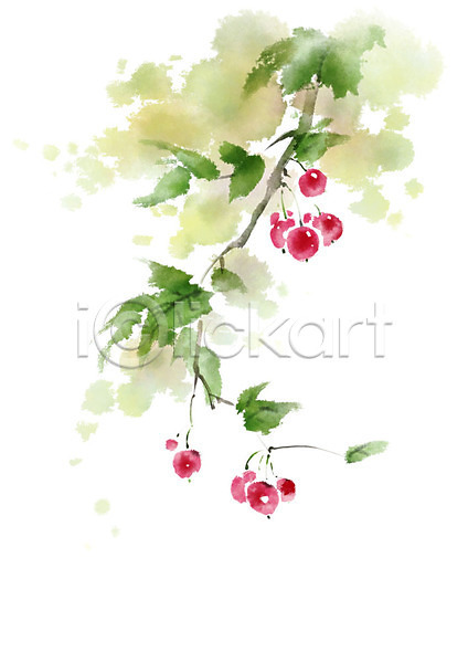 사람없음 PSD 일러스트 과일 나뭇가지 매달리기 번짐 붓터치 빨간색 열매 잎 캘리그라피