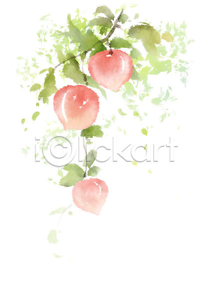 사람없음 PSD 일러스트 과일 나뭇가지 번짐 복사나무 복숭아 붓터치 여름(계절) 열매 제철과일 캘리그라피